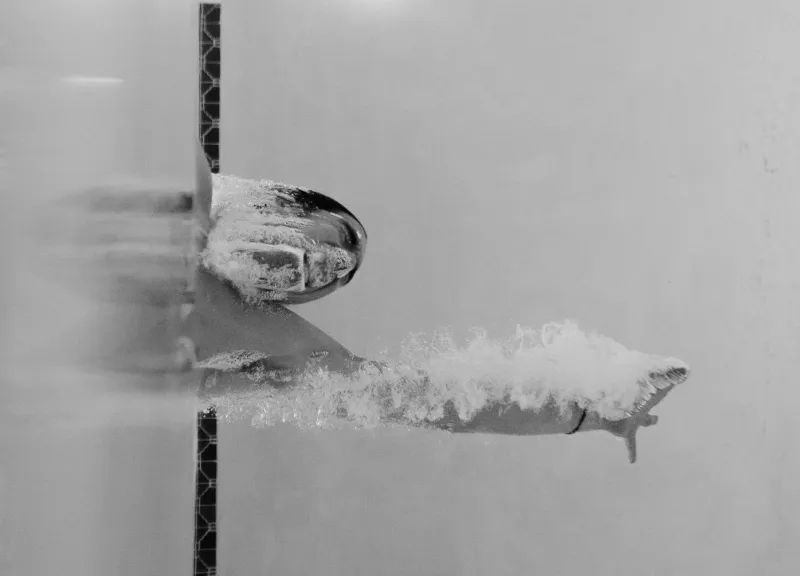 Degrees of Separation: The Tiny Body Angles That Decide Who Gets a Medal and Who Goes Home Empty-Handed